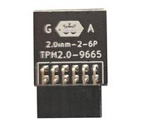 TPM2.0 Module de protection 20 broches TPM 2.0 module de sécurité cryptage compatible carte mère multi-marques
