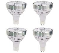 TPMAFF Lot de 4 Ampoules LED PAR30 culot G12 30 W 3000 lumens PAR30 Spotlight Ventilateur intégré, Angle de Faisceau 36° (équivalent halogène 100 W) Non dimmable