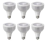 TPMAFF PAR30 Projecteur LED Ampoule 40 Watt COB (300 Watt Eqv.) 4000 Lumens Dimmable Ampoule, Culot E27, AC 220-240 V, PAR30 Projecteur Encastré Ampoules (Lot de 6)