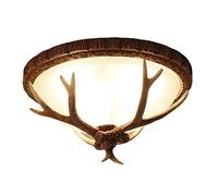 TPMAFF Plafonnier rétro en Bois de cerf, plafonnier Rond en résine de 16,5 Pouces, plafonniers pour Salon, Lampes de Couloir d'allée de Porche de Chambre à Coucher