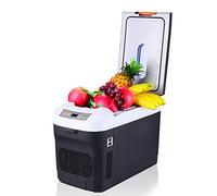 TQQEPOOL Compresseur portable petit réfrigérateur de voiture 12 V/24 V/220 V Mini refroidisseur électrique pour la conduite, les voyages, la pêche, l'extérieur et la maison (taille : 35 L B)