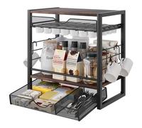 TQVAI Porte Capsule Dolce Gusto, Porte-Dosettes de Café avec des Crochets à Tasses, 70 Rangement Capsule, Organiseur de Comptoir de Cuisine Rrangement les Sachets de thé, Le Sirop, etc, Noir