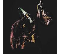 TRAAMS - Grin [New Vinyl LP]