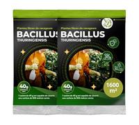 Trabe Bacillus Thuringiensis BTK Lot de 2 paquets de 40 g 1600 m² - Sans chenilles - Buis et chenilles Plantura - Presse du buis sur buis - Respecte les animaux, l'environnement et les humains
