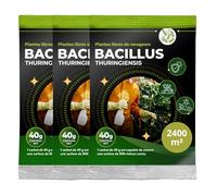 Trabe Bacillus Thuringiensis BTK Lot de 3 paquets de 40 g 2400 m² - Sans chenilles - Buis et chenilles Plantura - Presse du buis sur buis - Respecte les animaux, l'environnement et les humains