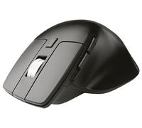 Tracer Slick souris Bureau Droitier RF sans fil Optique 2400 DPI