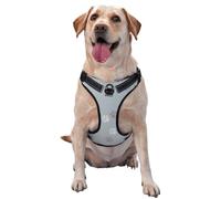 Traces d'empreintes de Pattes Cate,Harnais pour Animaux de Compagnie, Harnais réfléchissant réglable pour Chien,S