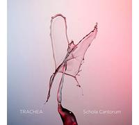 Trachea