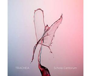 Trachea