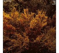 Jefre Cantu-Ledesma - Tracing Back The Radiance [New Vinyl LP]