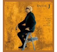 Tracks From the Attic Revisited (DVD) David J