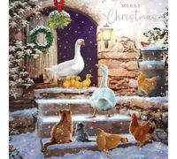 Tracks Publishing Lot de 5 cartes de Noël caritatives - Motif artistique d'animaux enneigés - Lot de cartes de Noël festives - Au profit de la British Heart Foundation