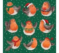 Tracks Publishing Lot de 5 cartes de Noël caritatives - Motif Jolly Robins - Lot de cartes de Noël festives - Au profit de la British Heart Foundation