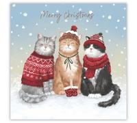 Tracks Publising Lot de 5 cartes de Noël caritatives - Chats mignons dans la neige - Finition aluminium - Cartes de Noël festives - Au profit de Rainbow Trust