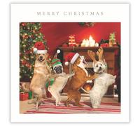 Tracks Publising Lot de 5 cartes de Noël caritatives - Chiens dansants - Finition aluminium - Cartes de Noël festives - Au profit de Rainbow Trust