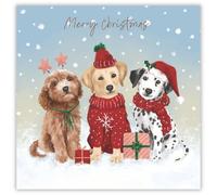 Tracks Publising Lot de 5 cartes de Noël caritatives - Chiots mignons dans la neige - Finition aluminium - Cartes de Noël festives - Au profit de Rainbow Trust