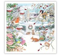 Tracks Publising Lot de 5 cartes de Noël caritatives - Motif jardin d'hiver et vie sauvage - Finition aluminium - Lot de cartes de Noël festives - Au profit de Rainbow Trust