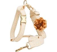 Traction Harnais pour Chien Doux avec Fleur Et Boucle en MéTal Ajustable ContrôLe Facile pour La Promenade, Harnais Et Laisse pour Chien Rose sans Le Mariage Et La FêTe d'anniversaire
