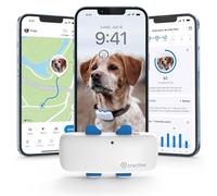 Tractive - Collier GPS pour chien - Élue Marque de l'Année - Localisation globale en direct - Alertes anti-fugue - Moniteur d'activité avec alertes de santé