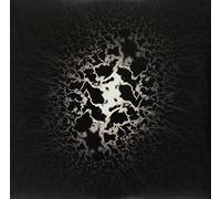 Trad Gras Och Stenar - Homeless Cats