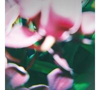 Trade Wind - You Make Everything..