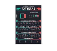 Trading and Investment Charts Educational Poster for Beginners(Framed,12x18inch(30x45cm))