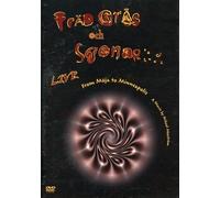 Träd, Gräs Och Stenar - From Moja to Minneapolis