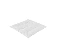 Träumeland T060562 Couette pour bébé avec garnissage 100% duvet certifié Downpass 80 x 80 cm Blanc