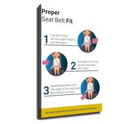 Traffic Education Poster Seat Belt Usage Guide Driving School Wall Chart for Classroom DMV Office Decor Gift(Framed,12x18inch(30x45cm))