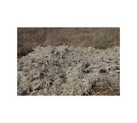 Tragopan Couverture de camouflage en Ghillie beige