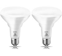 Trahoo-Energetic 2 Pack 75w Br30 Led Recessed Light Bulb, Dimmable, 900 Lumens, Daylight 5000k, E26 Base, Indoor Led Flood Light Bulb For 5/6 Inches Cans