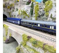 Train Auto-Couchettes, 2 voitures WR ex-CIWL, WL T2 et porte autos DD, SNCF/SNCB