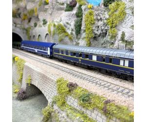 Train Auto-Couchettes, 2 voitures WR ex-CIWL, WL T2 et porte autos DD, SNCF/SNCB