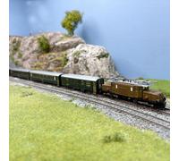 Train de voyageur, locomotive électrique Ge 6/6 I "Krokodil", 4 voitures, RhB, E