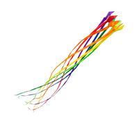 Traîne de cerf-volant soft swirl rainbow 3m - 8 couleurs