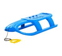 Traîneau pour Enfants Bleu 102,5x40x23 cm Polypropylène Luge Extérieur vidaXL