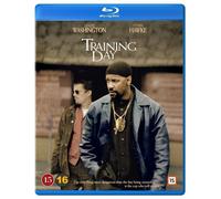 Training Day (Bd)