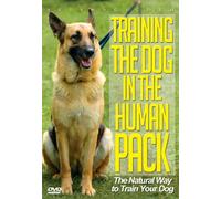 Training Dog in The Human Pack