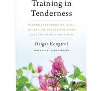 Training in Tenderness by Dzigar Kongtrul Dzigar Kongtrul (Auteur)