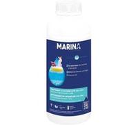 Trait. piscine INNOVATIVE WATER CARE INE888275 O2 actif 1 L Transparent G