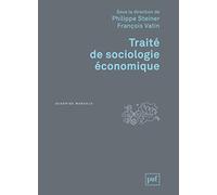 Traité de sociologie économique