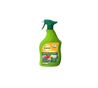 Solabiol Pucerons Cochenilles Acarien et Pyrale du buis prêt-à-l'emploi Pulvérisateur 750ml | Action Rapide | Agit par Contact | pour Plantes d'intérieur et d'extérieur
