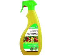 Traitement anti maladie polyvalent - DECAMP - Protection fongique - 750 ml