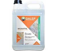 Traitement ANTI-SALPÊTRE Prêt à l'Emploi - Bidon 5 L DALEP - 1.02.0017.03