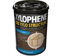 TRAITEMENT BOIS CHARPENTE XYLOPHÈNE XYLO STRUCTURE 5L 00369408