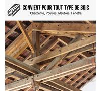 Traitement capricorne produit injecter pulvériser 200 L