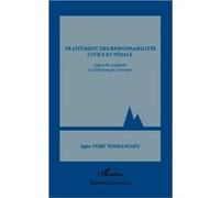Traitement des responsabilités civile et pénale Jafar Nory Yoshanloey (Auteur)