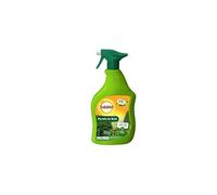 - traitement pyrale du buis - pulvérisateur 750ml