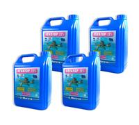 Traitement rattrapage eau verte REVATOP 12% 4 x 5 L Mareva