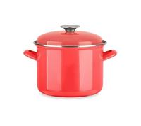 Traiteur Tous feu dont induction Email 22 16 cm Coloris